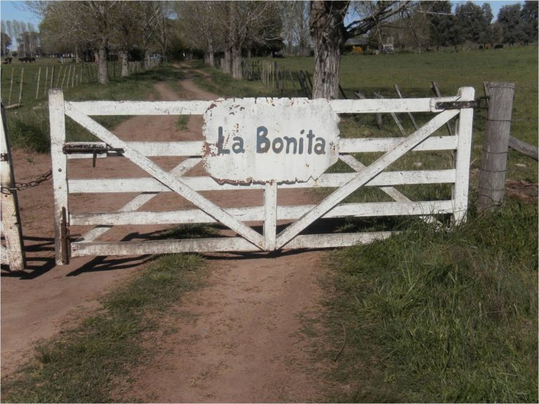 La Bonita