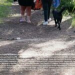 PF-071-Cruzar-el-Muro-poster-768x1094-1