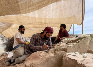 La expedición arqueológica del Conicet en la Patagonia marca un hito al descubrir un huevo fosilizado