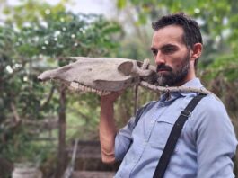 “Laberinto Borges”: una distopía pampeana para pensar el presente argentino
