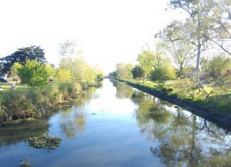 Histórico: declaran humedal urbano al Canal Génova de Berisso
