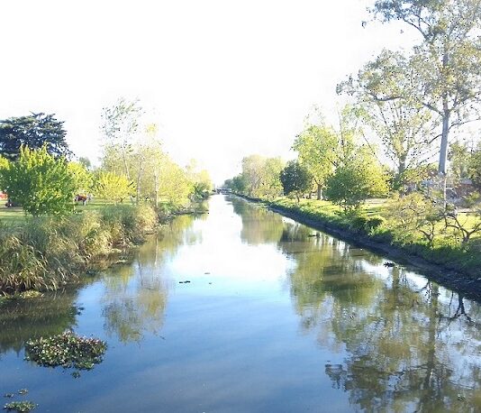 Histórico: declaran humedal urbano al Canal Génova de Berisso